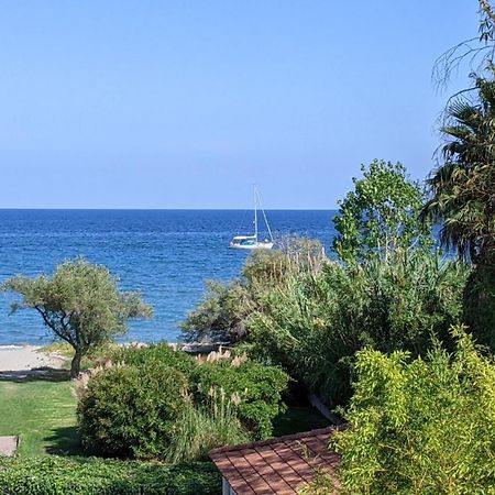 Cala Di Sognu Apartamento San-Nicolao Exterior foto