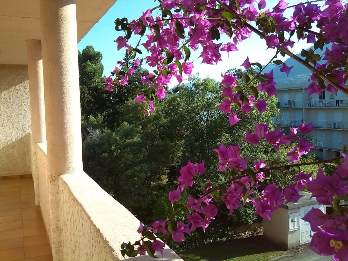Cala Di Sognu Apartamento San-Nicolao Exterior foto